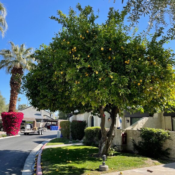 Meet your Posher, Chris - Picture 1 of 1